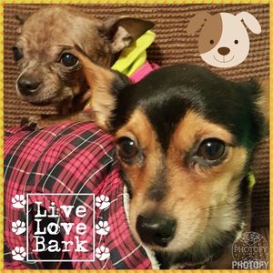 Meet your Posher, Melissa